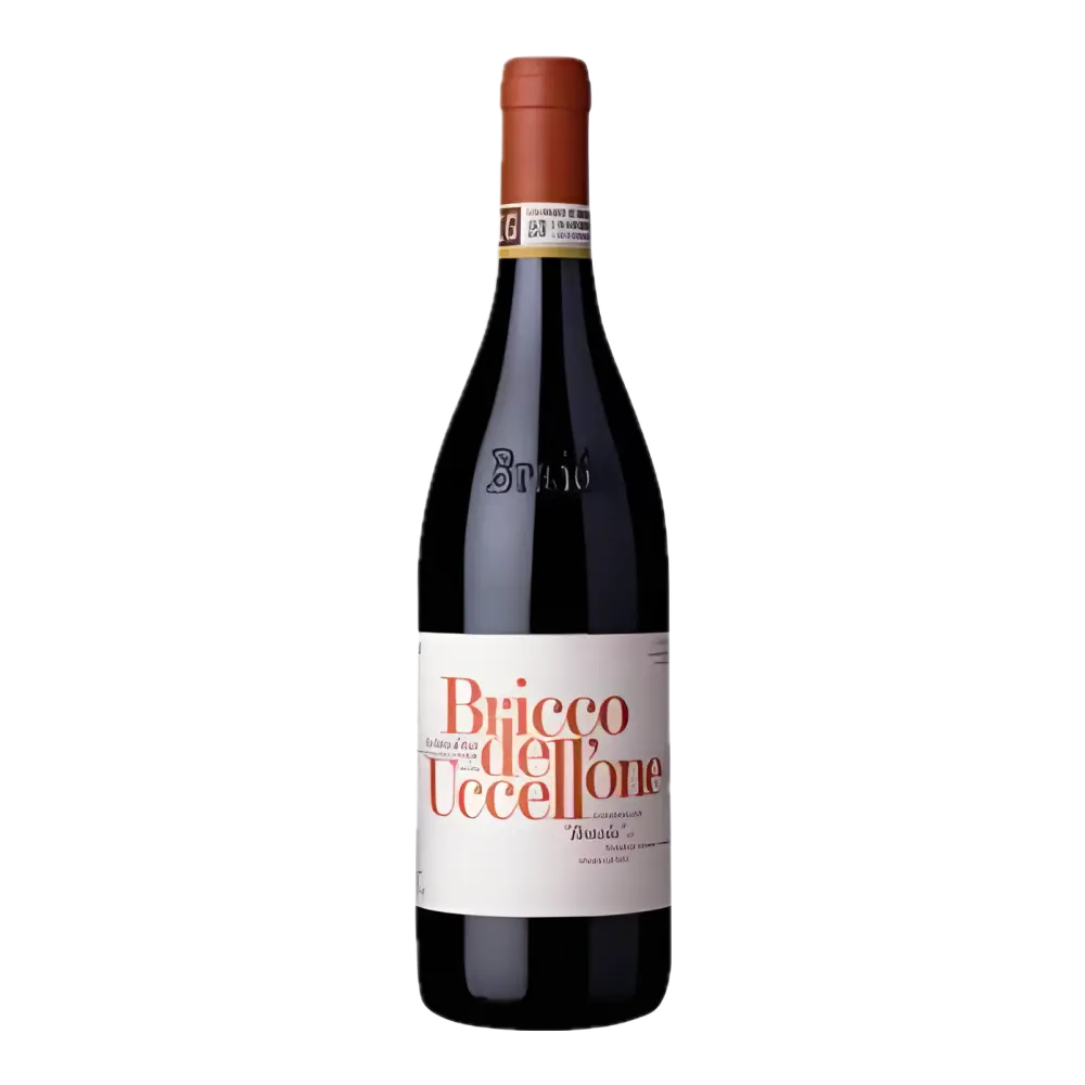 Barbera d'Asti 'Bricco dell'Uccellone' Giacomo Bologna DOCG 2022