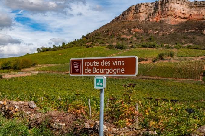 BOX Il Fascino Francese - Bordeaux, Borgogna e Champagne